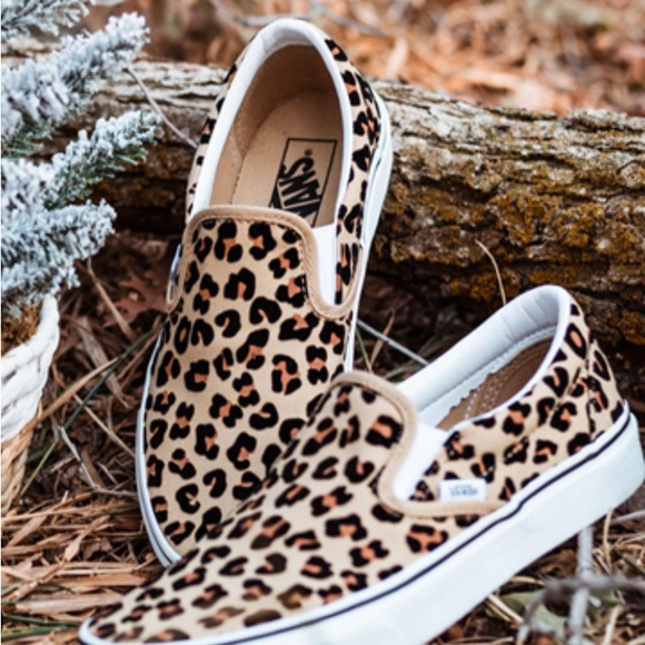 Cheetah print vans - Picture 2 of 4